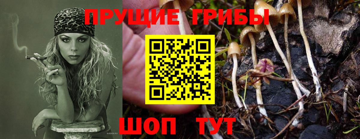 Владивосток  Галлюциногенные грибы GOLDEN TEACHER  Вход с VPN 